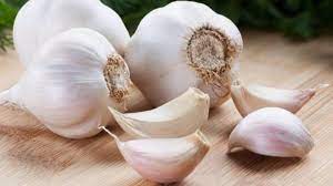 Garlic (लहसुन)