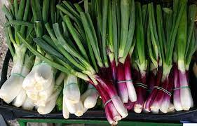 Spring Onion (हरी प्याज)