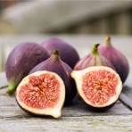 Fig(अंजीर)