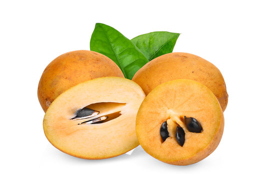 Sapodilla(चीकू)