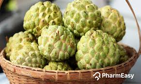 Custard Apple(शरीफा)